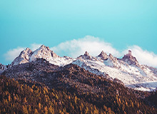 开云体育首页-女篮世界杯“抢票战”在即 中国女篮期待展现新面貌